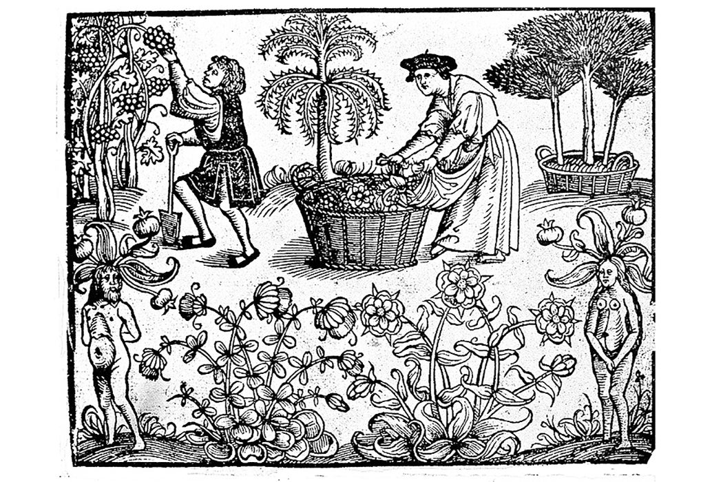 Herbs & Verbs: How to Do Witchcraft for Real - JSTOR Daily