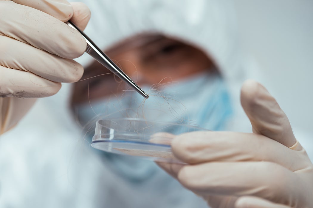 How Forensic DNA Evidence Can Lead to Wrongful Convictions - JSTOR Daily