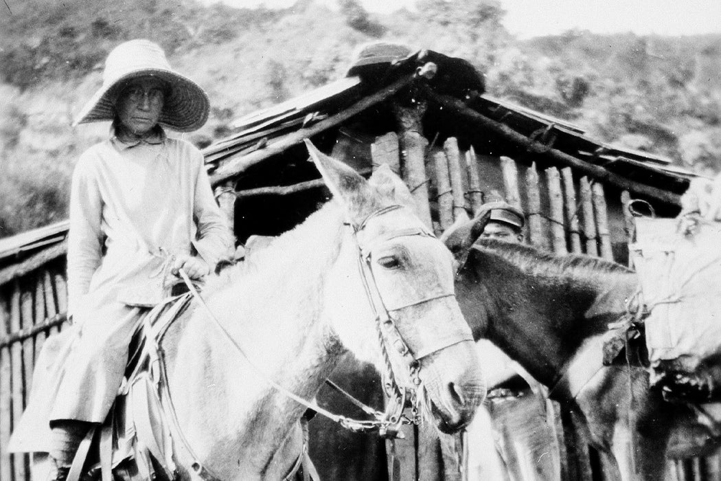 The Woman Agrostologist Who Held the Earth Together - JSTOR Daily