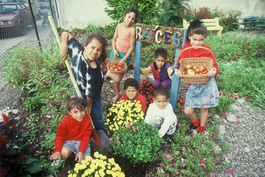 Greening Philly's Neglected Lots - JSTOR Daily