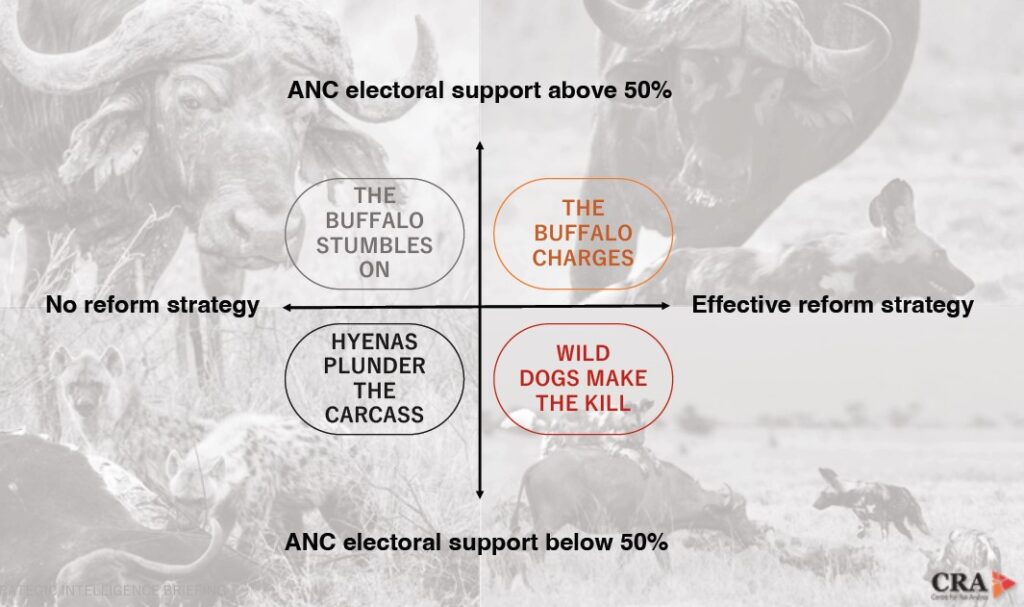 Wild dogs make the kill: Can a coalition bring about post-ANC reform? - Daily Friend