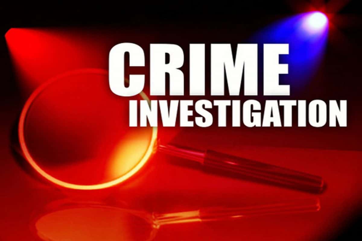 6,000 Nigerians under investigation for murder, fraud, robbery, others in South Africa - Daily Post Nigeria