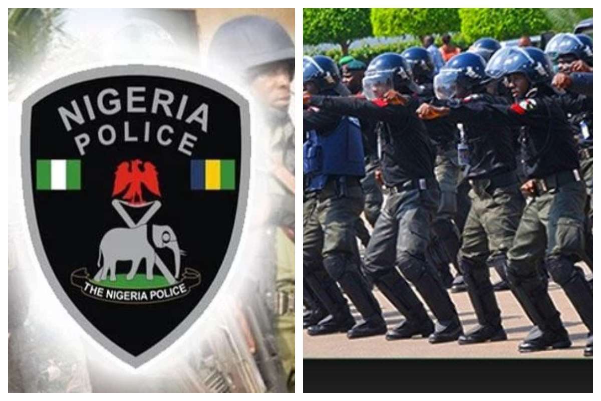 Hardship: Police arrest 15 hoodlums for 'looting' wearhouse in Abuja, recover items - Daily Post Nigeria