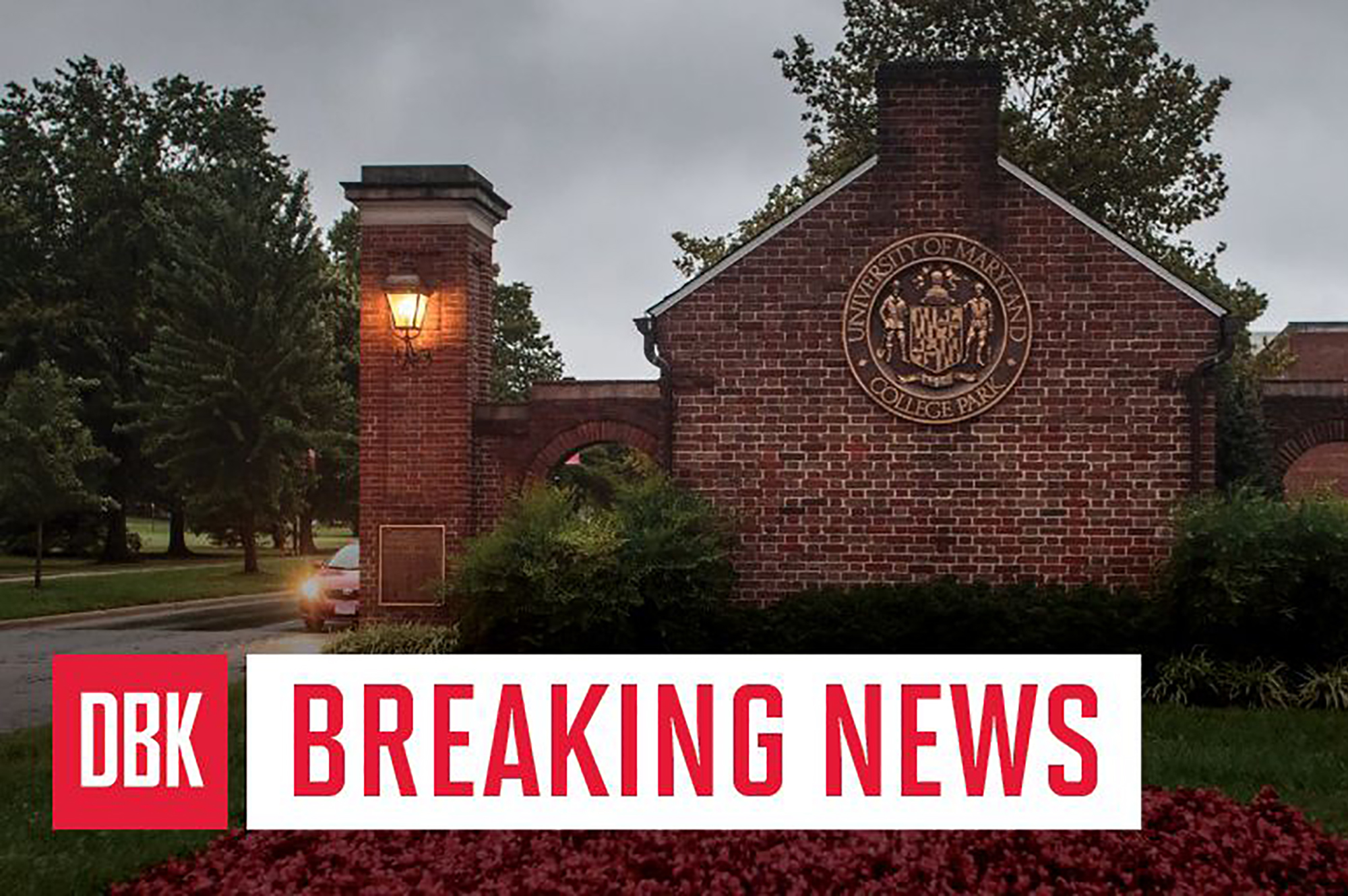 UMD to start undergraduate classes online, delay in-person instruction for two weeks - The Diamondback