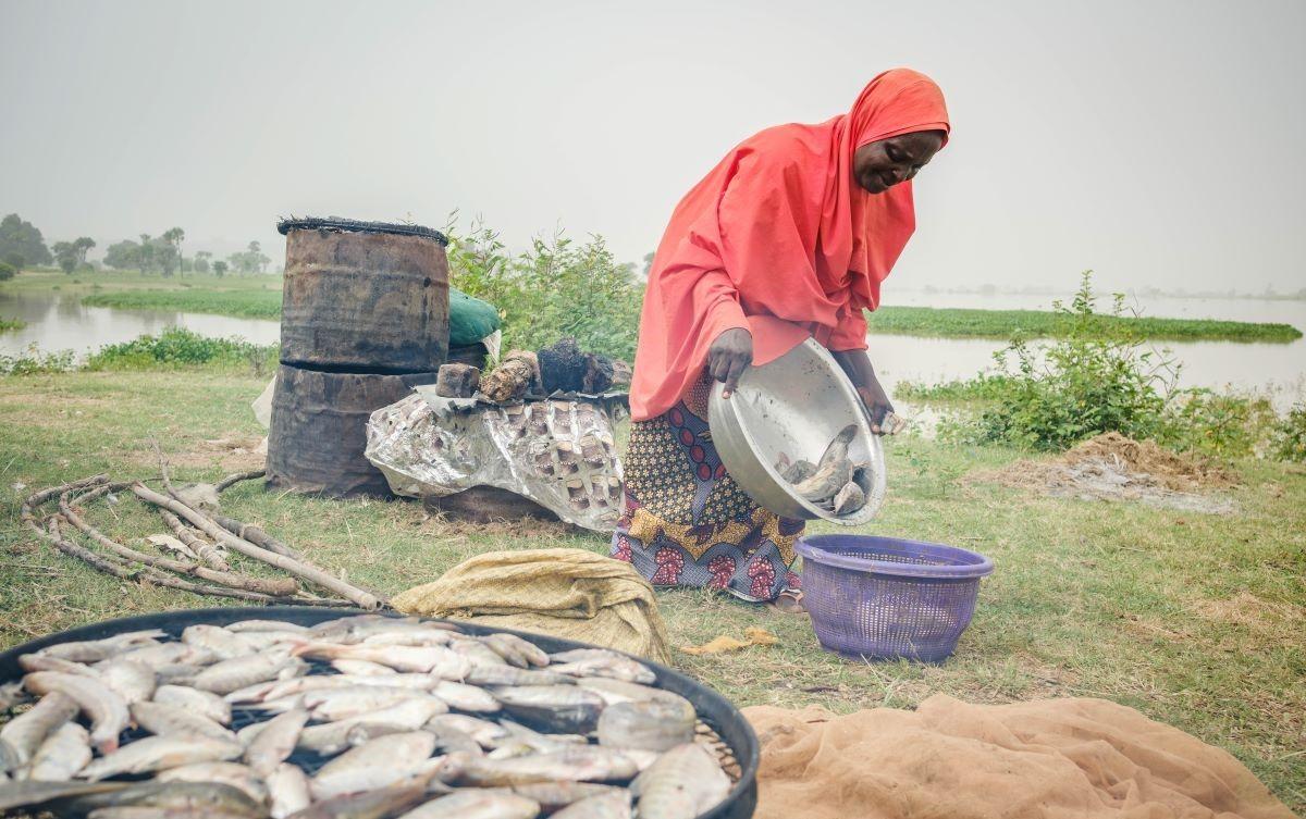 Armed with AI and cash, Nigerian farmers act before floods | Context by TRF