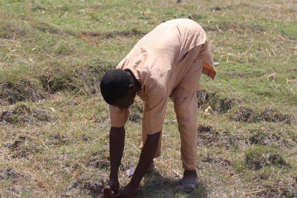 Food crisis threatens Nigeria as flood-hit farms cut back planting | Context by TRF