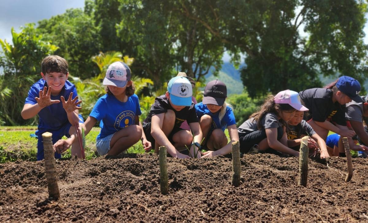 Hawaii decides how to spend 'green fees' to save nature, tourism | Context by TRF