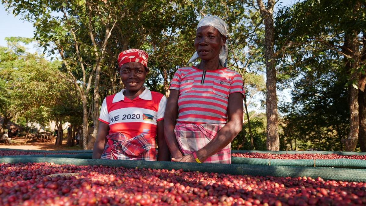 Trees, tech and people help Mozambican park reverse nature losses | Context by TRF