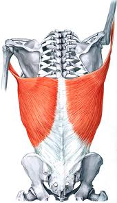 Cueing Lat Activation For a Deadlift, or pretty much anything that needs lats - DeanSomerset.com