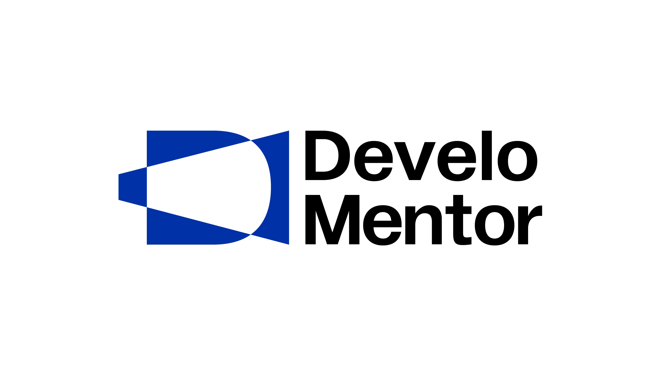 Transform Your Business with Experienced Tech Executives | Develomentor