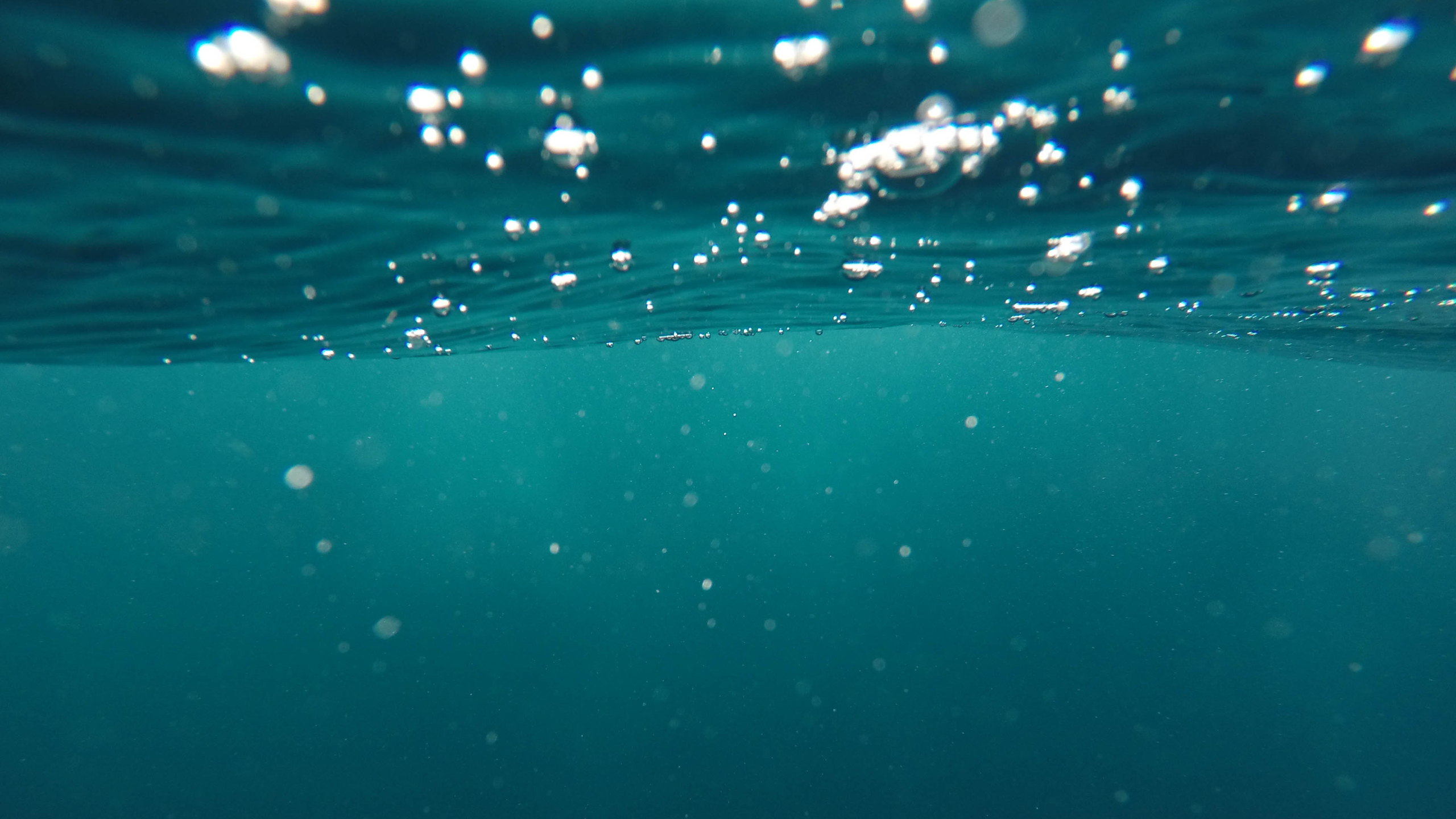 Ausstellung: Future Ocean Dialogue