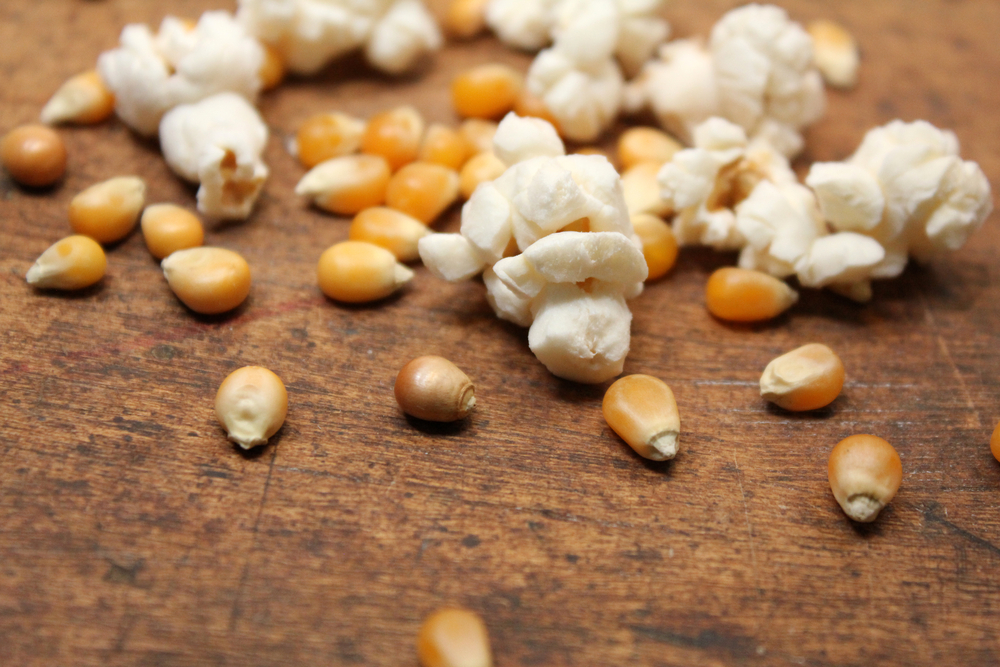 The Daily Dot goes long and slow with relaunch of The Kernel - Digiday