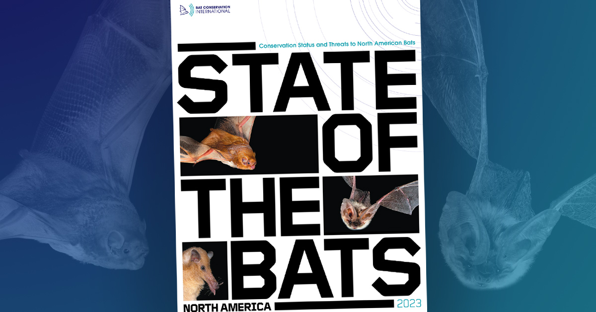 State of the Bats Report