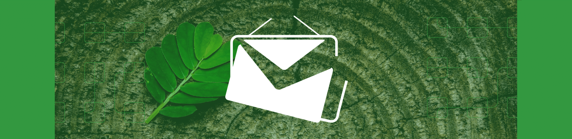 SPF Management Challenges - dmarcian