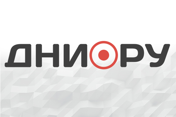 Кобзон рассекретил неожиданное место жительства Януковича :: Политика :: Дни.ру