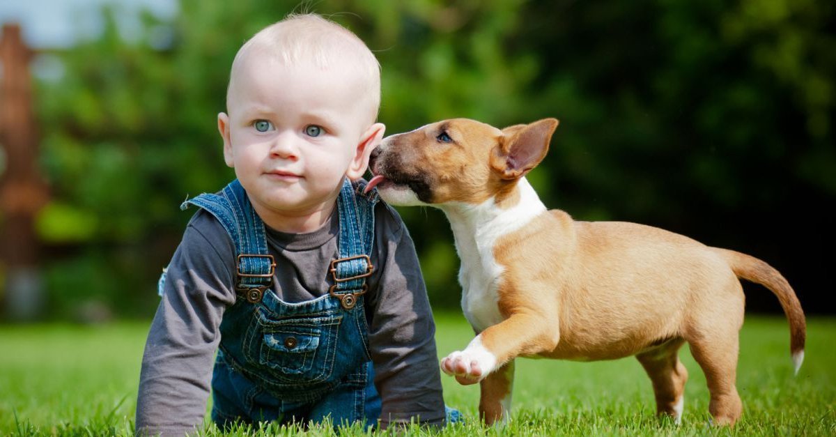 The beneficial effects of dog kisses - Lifestyle