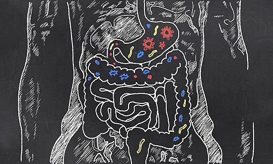 Leaky gut: What is it, and what does it mean for you? - Harvard Health