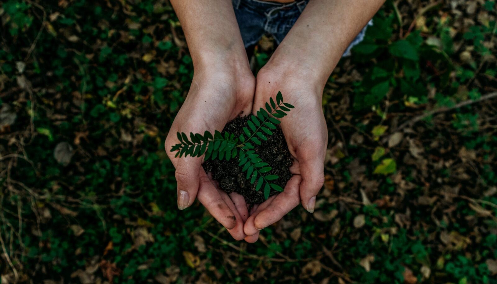 Your Guide to Green Procurement: What Sustainability Metrics to Track - Blog