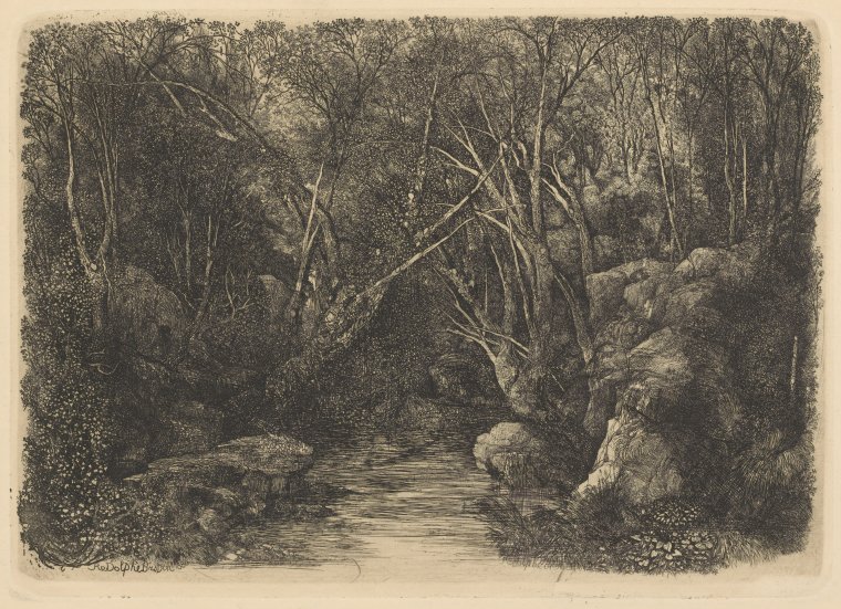 Dark and Beautiful: Young Adult Gothic Fiction | The New York Public Library