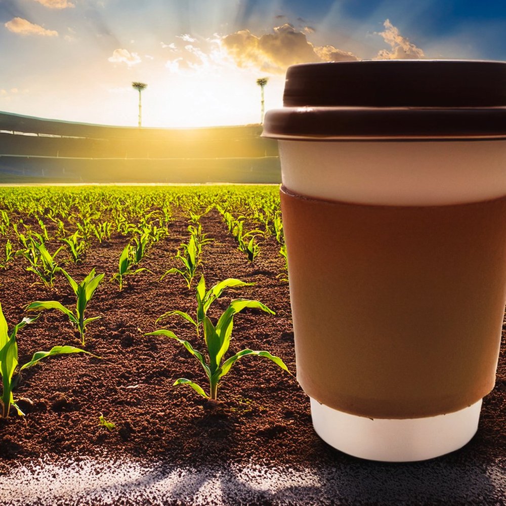 The Economic Benefits of Pesticides to Farmers & Society