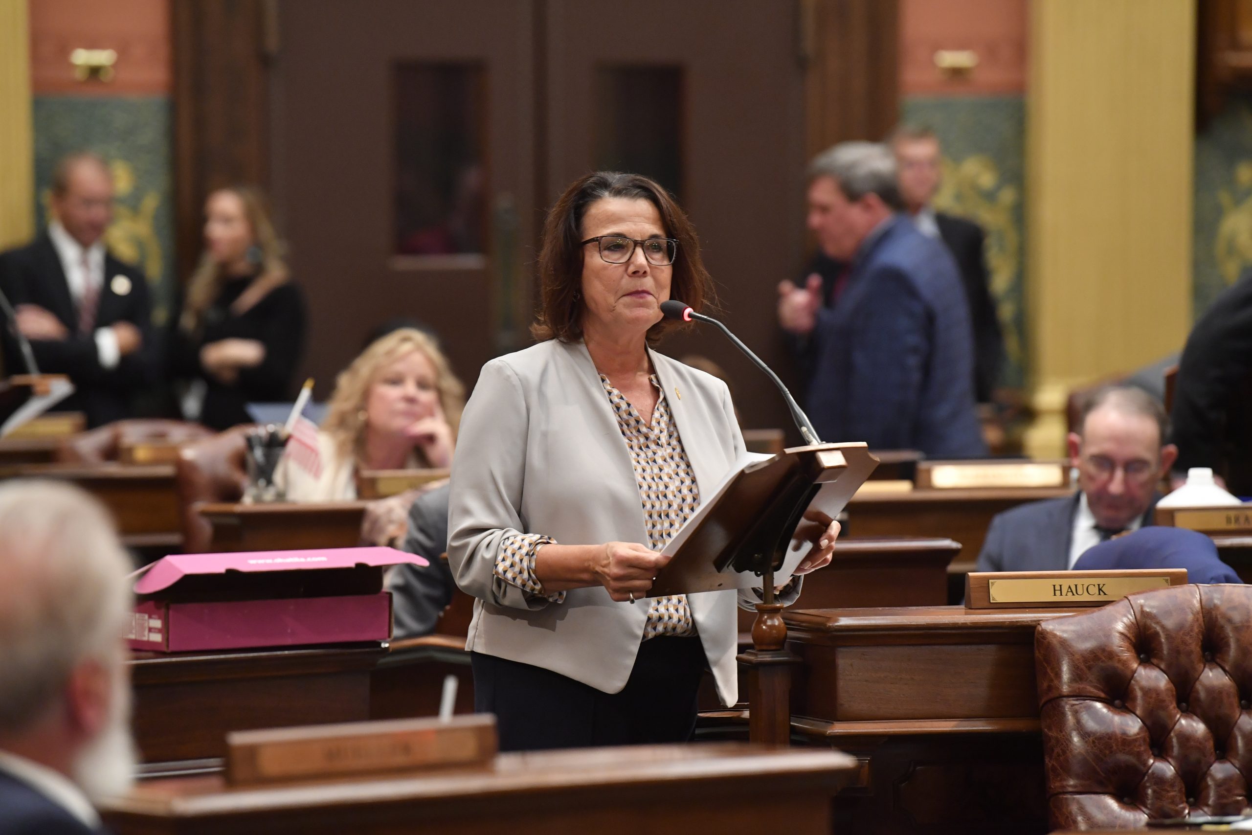 Rep. Ann Bollin, R-Brighton Twp.; audio on absentee ballot preprocessing. - MI House Republicans
