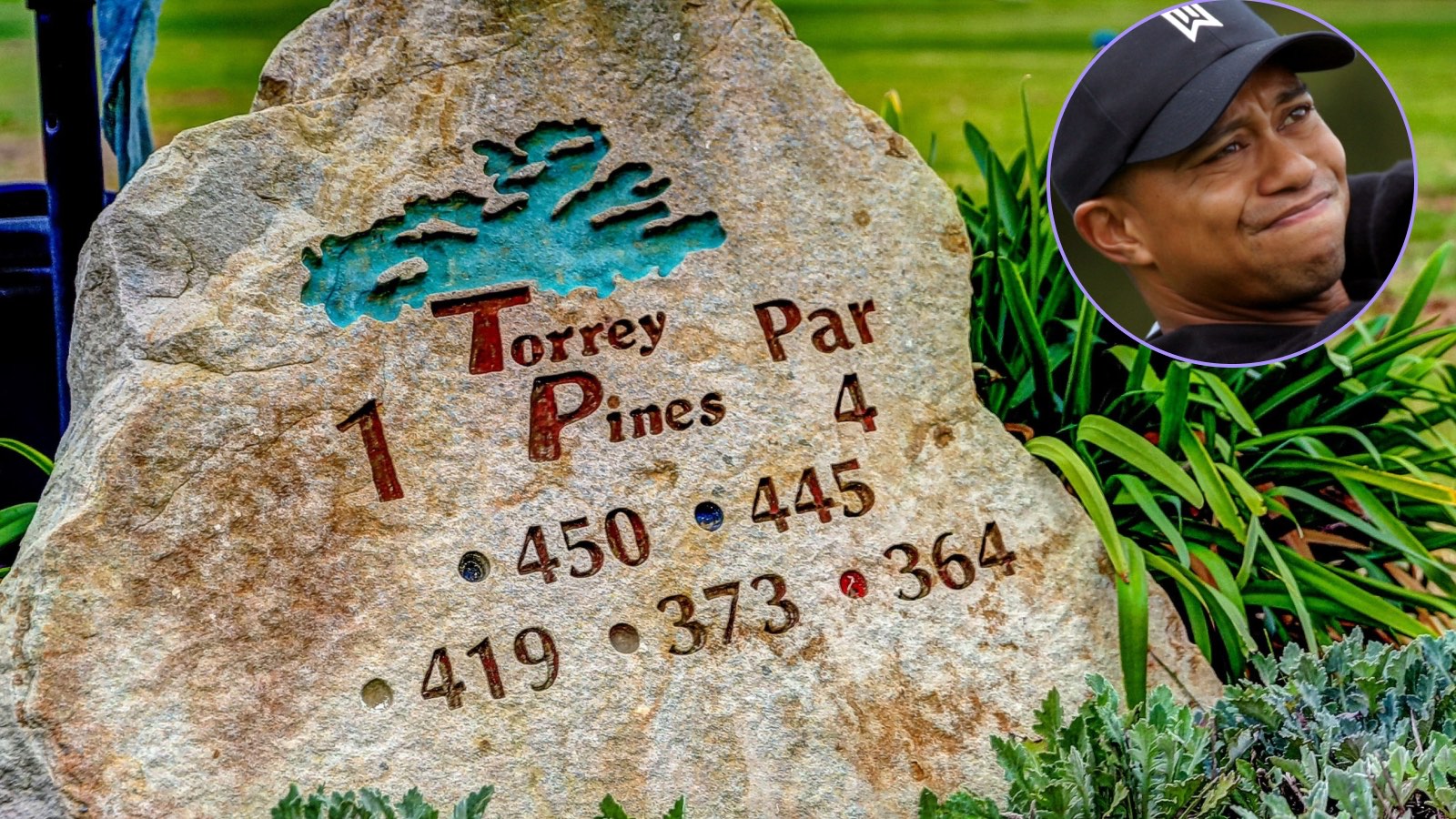 Why Torrey Pines is Tiger Woods’ most successful PGA Tour venue