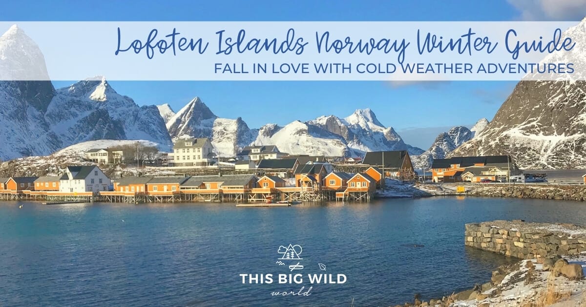 Why You Should Visit the Lofoten Islands in Winter