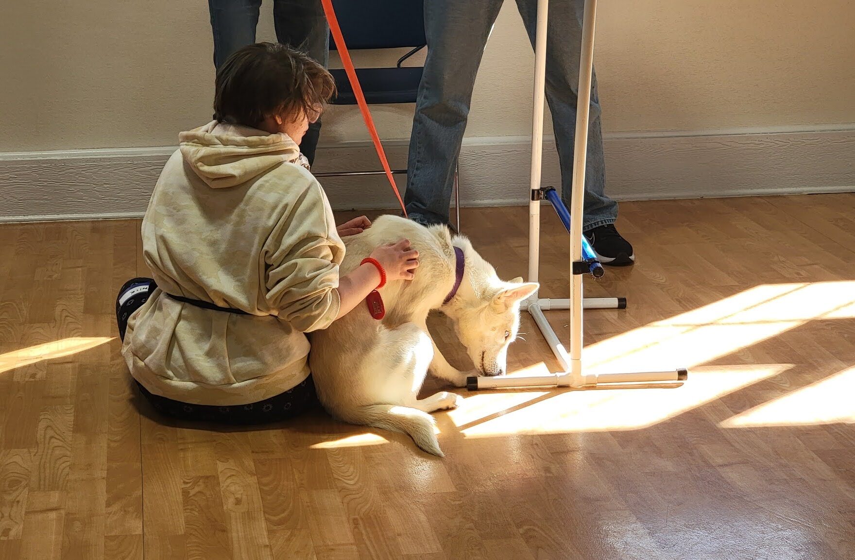 Teens facing adversity help give discarded dogs a second chance in NIU sociologist’s study | NIU Newsroom