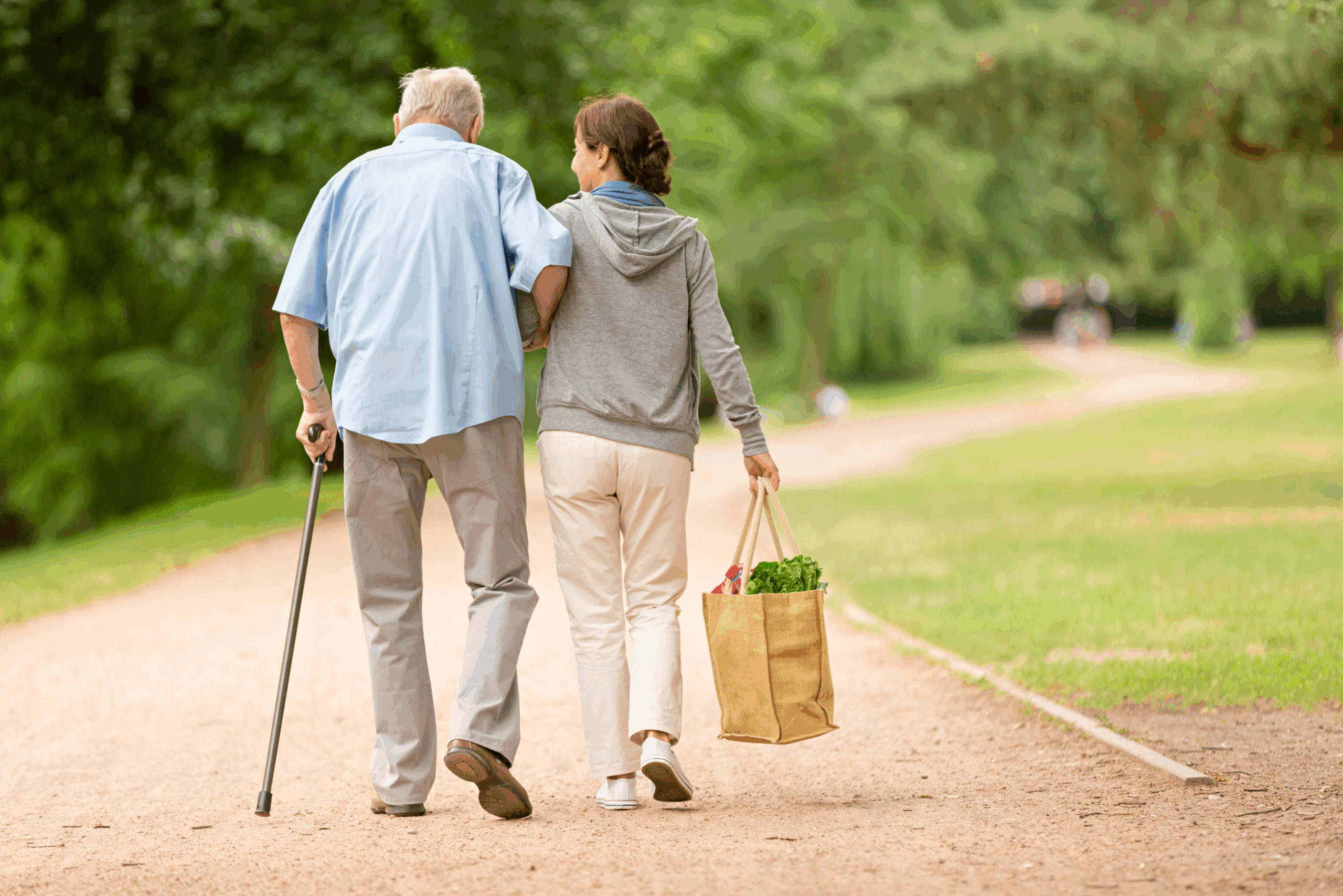 State Strategies to Support Working Caregivers - NASHP