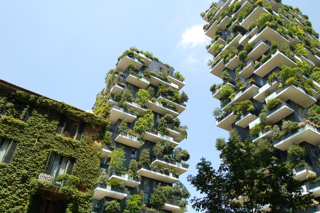 How Urban Green Spaces are Impacting on China’s Environmental and Public Health | Earth.Org