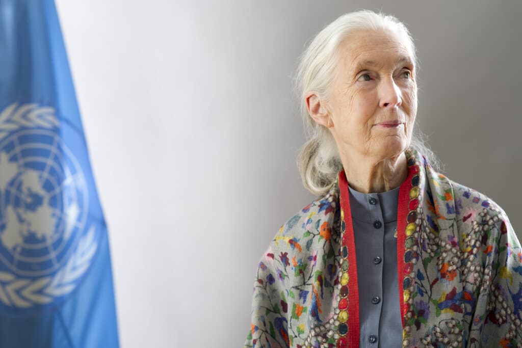 Jane Goodall's 7 Must-Read Books on Nature and Primatology