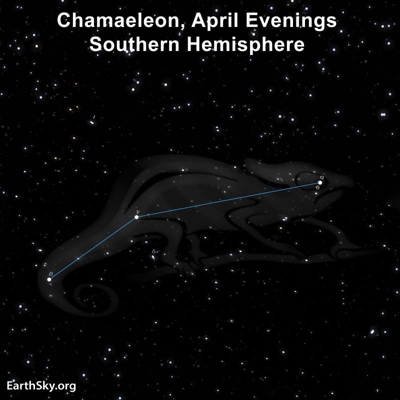 Meet Chamaeleon, a southern constellation