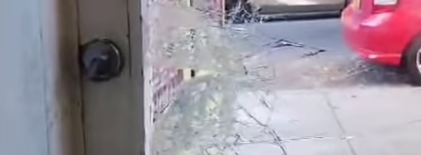 Palestinian Restaurant al Badawi Vandalized; Here's How They Respond - East Side Feed