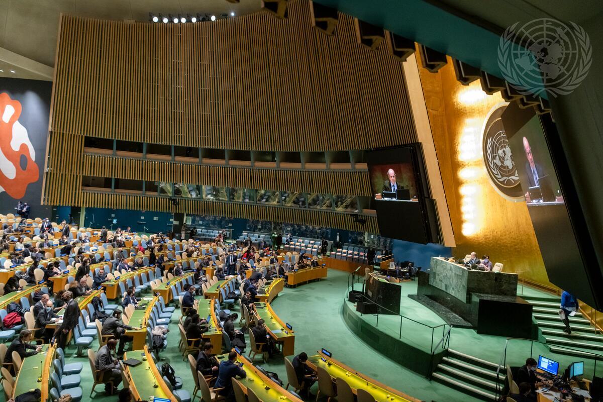 Why UN votes shouldn’t define Europe-Africa relations – European Council on Foreign Relations