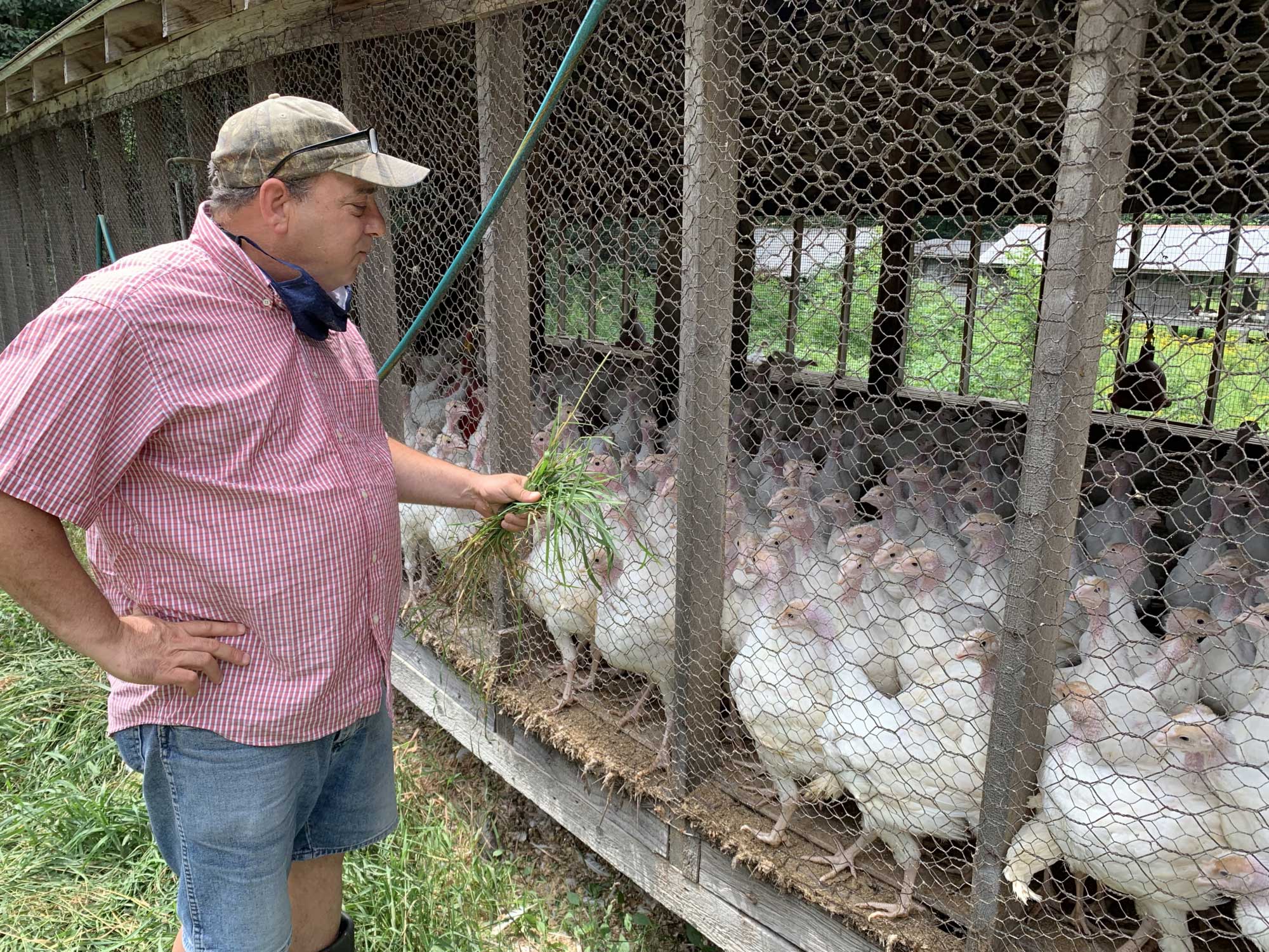 As Avian Flu Concerns Drive Egg Shortages and High Prices, R.I. Farmers See Increase in Demand - ecoRI News