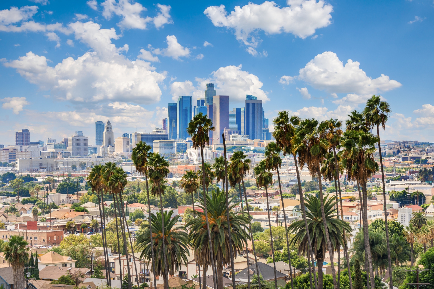 Los Angeles launches consolidated student data system | EdScoop