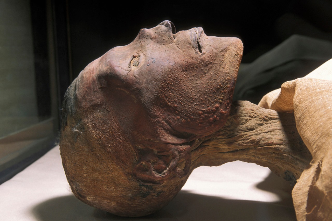 Egypt Museum cover