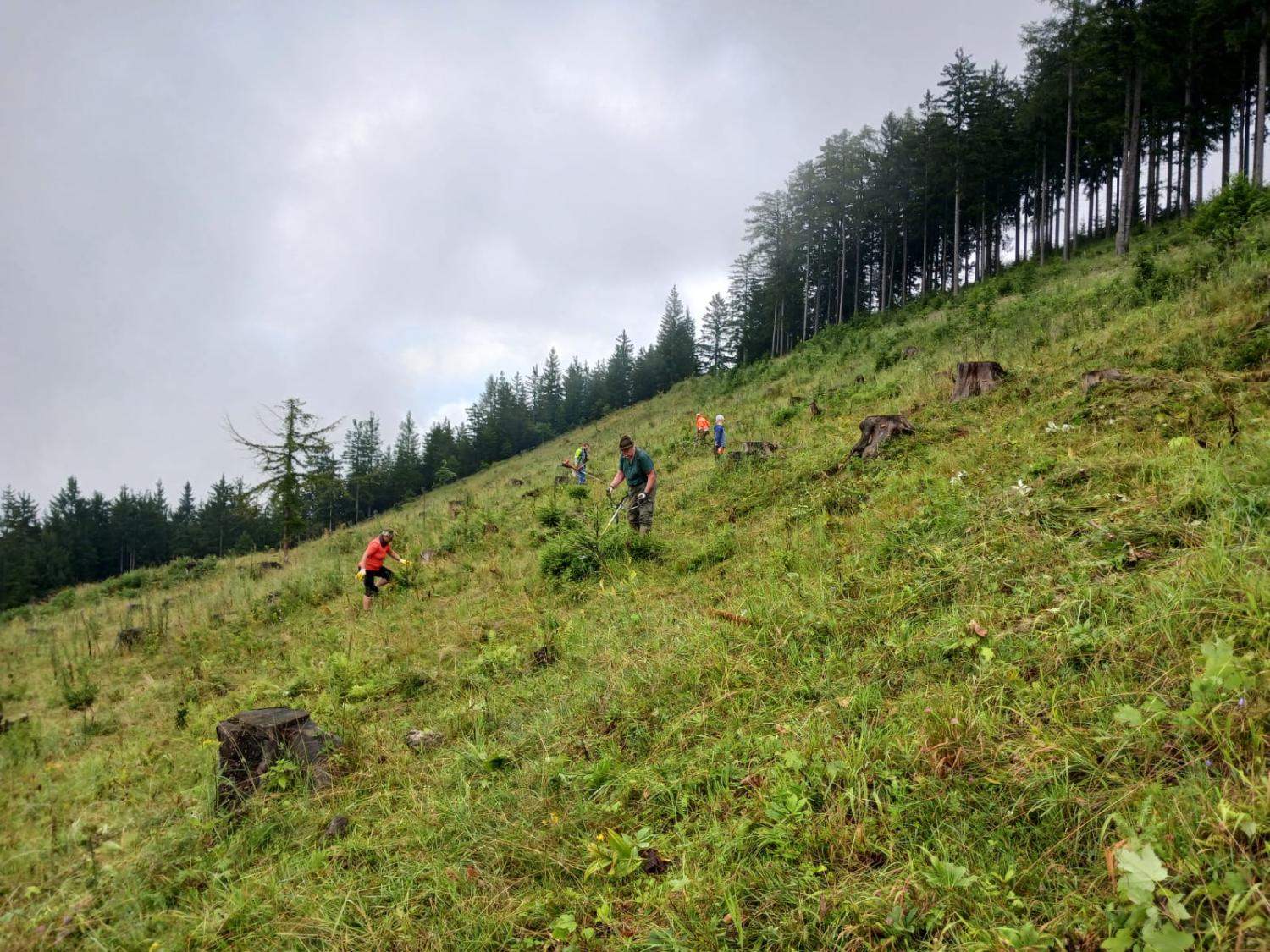 10. Tag der Almen auf der Winteralm - Steirische Eisenwurzen - Naturpark & UNESCO Global Geopark