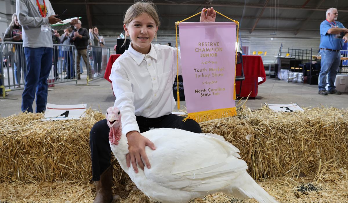 Youth Market Turkey Show Registration Time! - Poultry 4-H & Youth