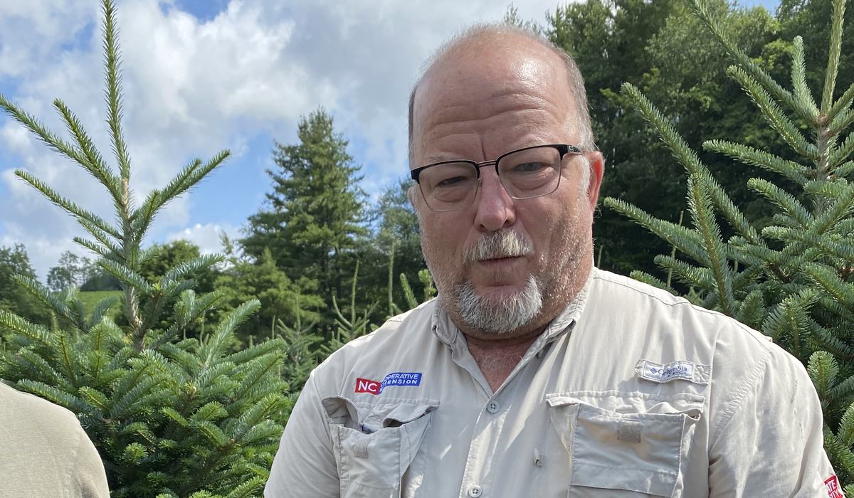 The Roots of Leadership: Jerry Moody Wins CALS Award for Excellence - Christmas Trees