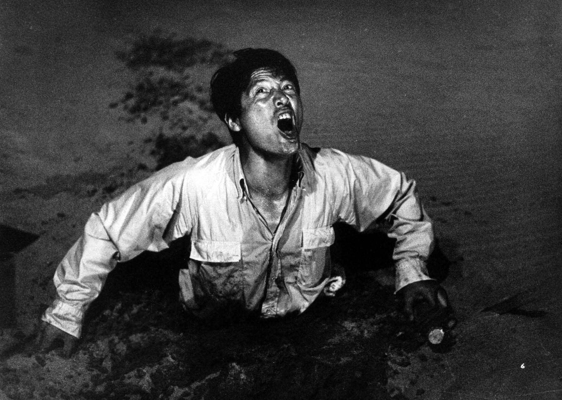 Late to the Party: Kōbō Abe’s ‘The Woman in the Dunes’ - Electric Literature