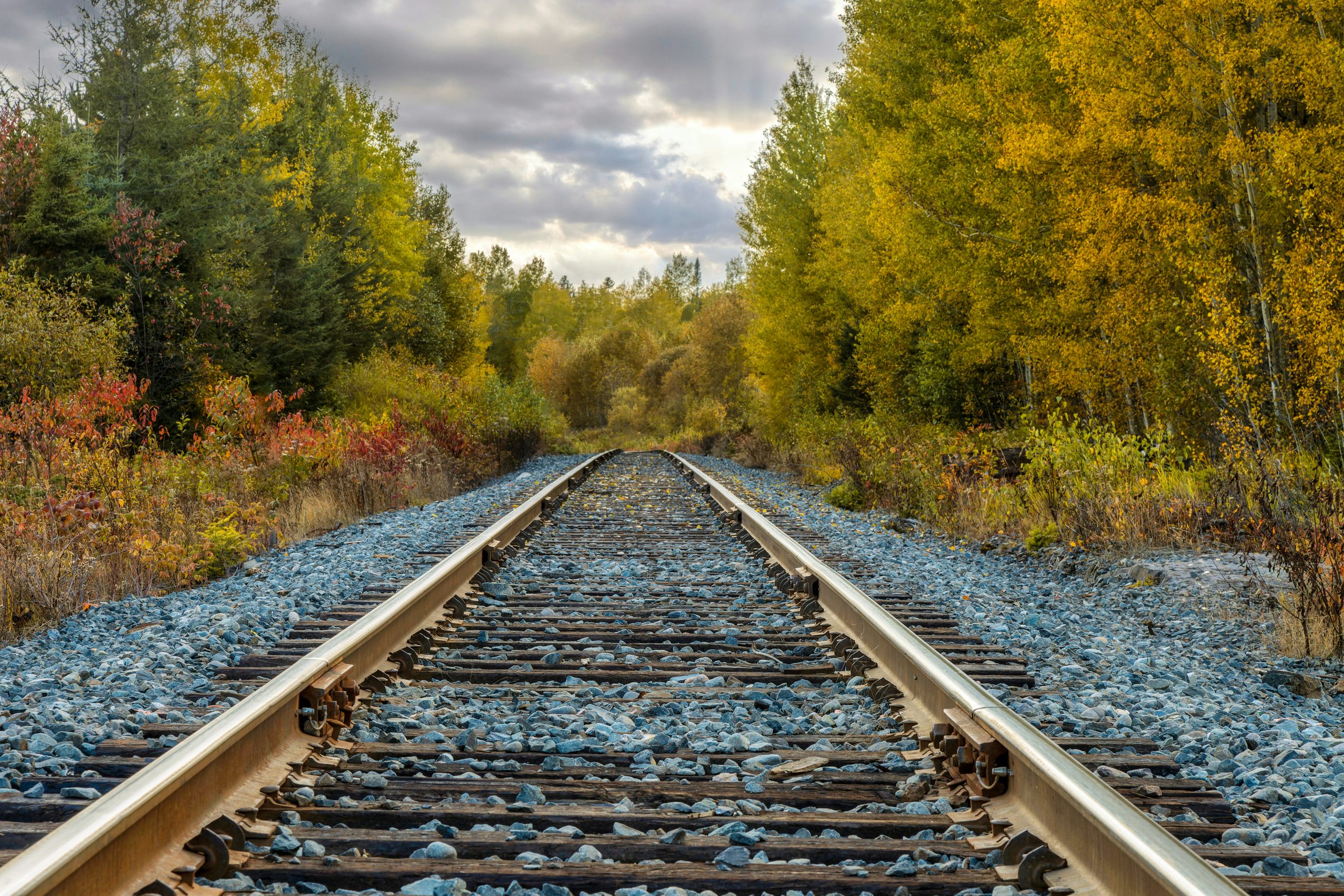 Sleep Is a Runaway Train and I'm Tied to the Tracks - Electric Literature