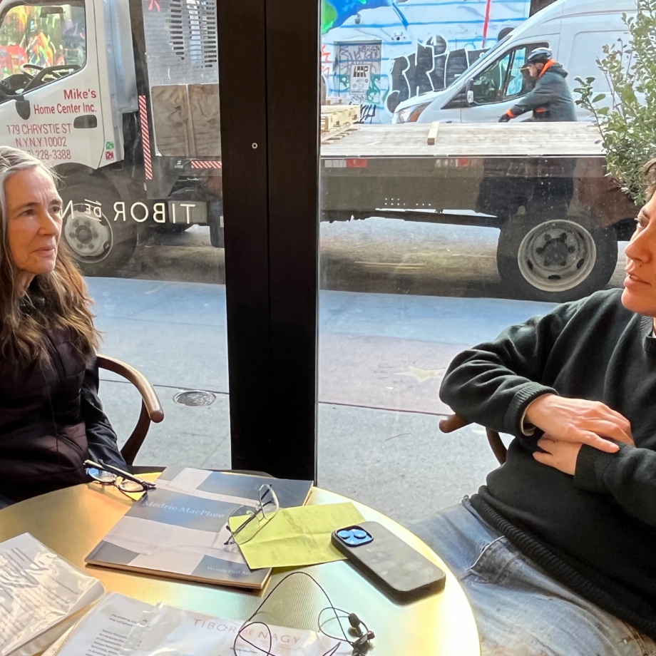 Medrie MacPhee and Nicole Eisenman Discuss Dystopia, Denim, and the Joy of Destruction - ELEPHANT