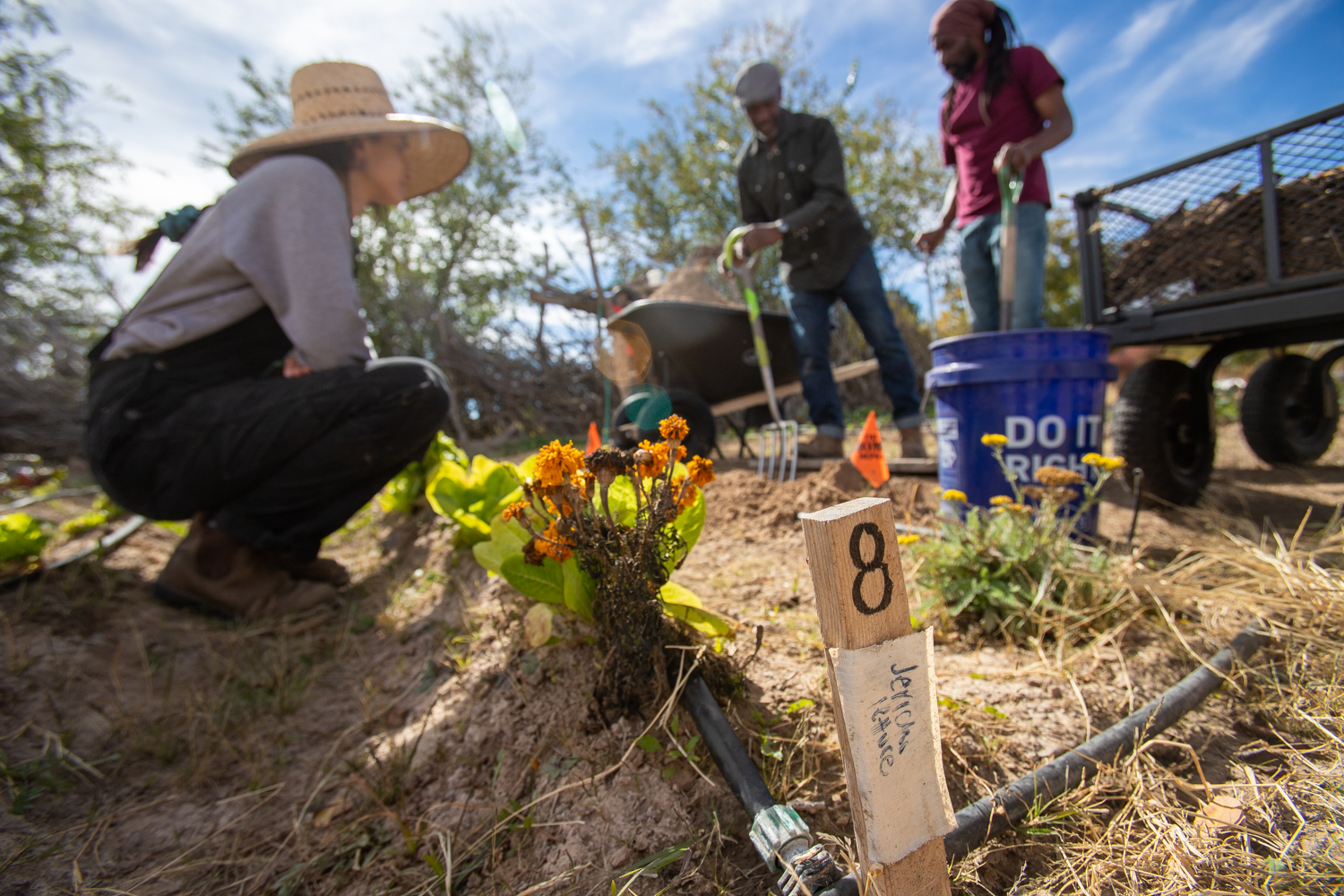 Meet the farmers trying to grow healthier food in the Southwest