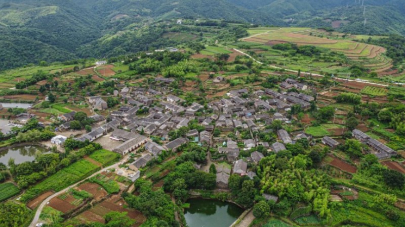 China Focus: Barbecue hotspot Zibo braces for sizzling influx of tourists - People's Daily Online