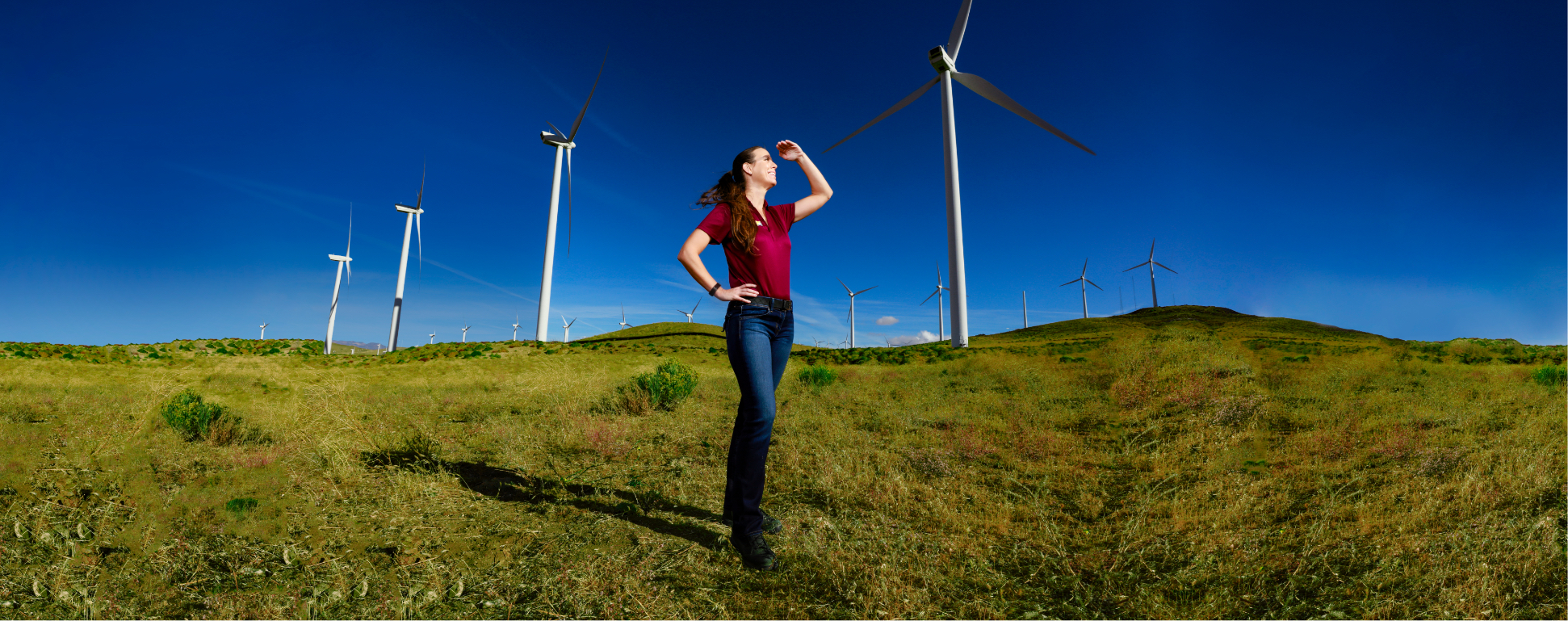 Newsletter | Energized by Edison