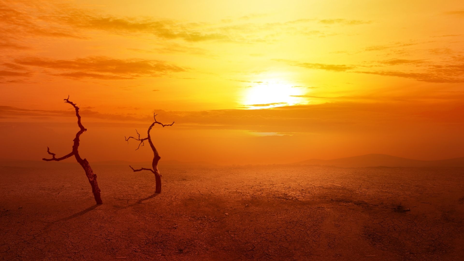 2022 Heat Wave in India and Pakistan - New Scientific Report