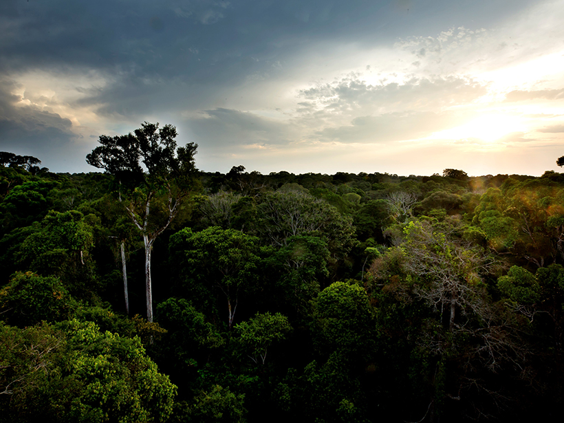 A Simplified Model of Water Vapor Exchange in the Amazon - Eos