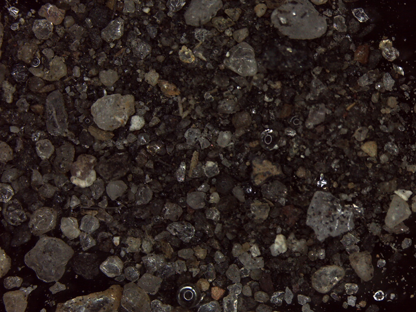 Road Dust: A Health Hazard Hidden in Plain Sight - Eos