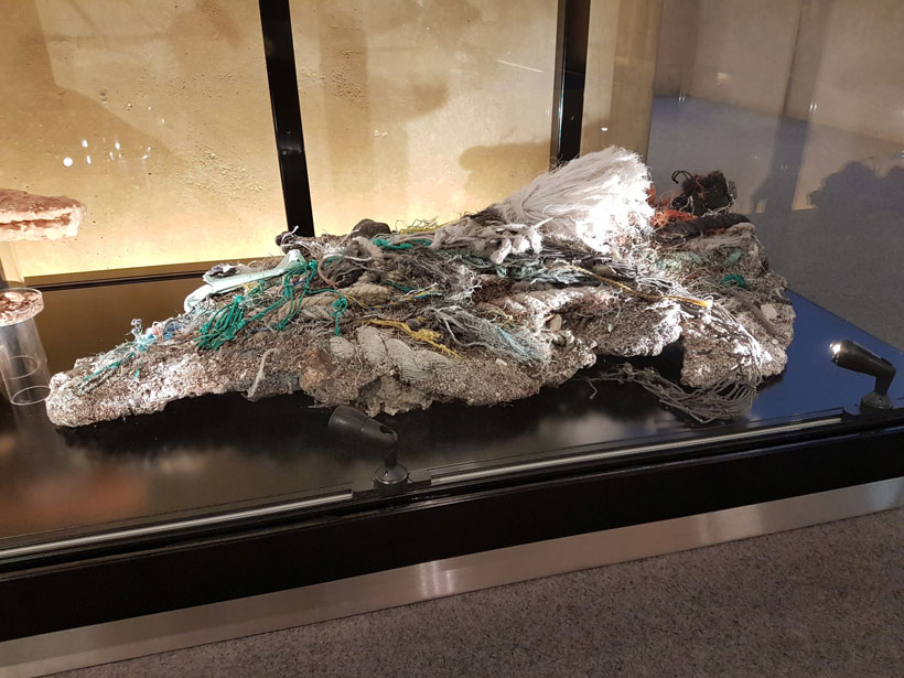 The Difficulty of Defining the Anthropocene - Eos